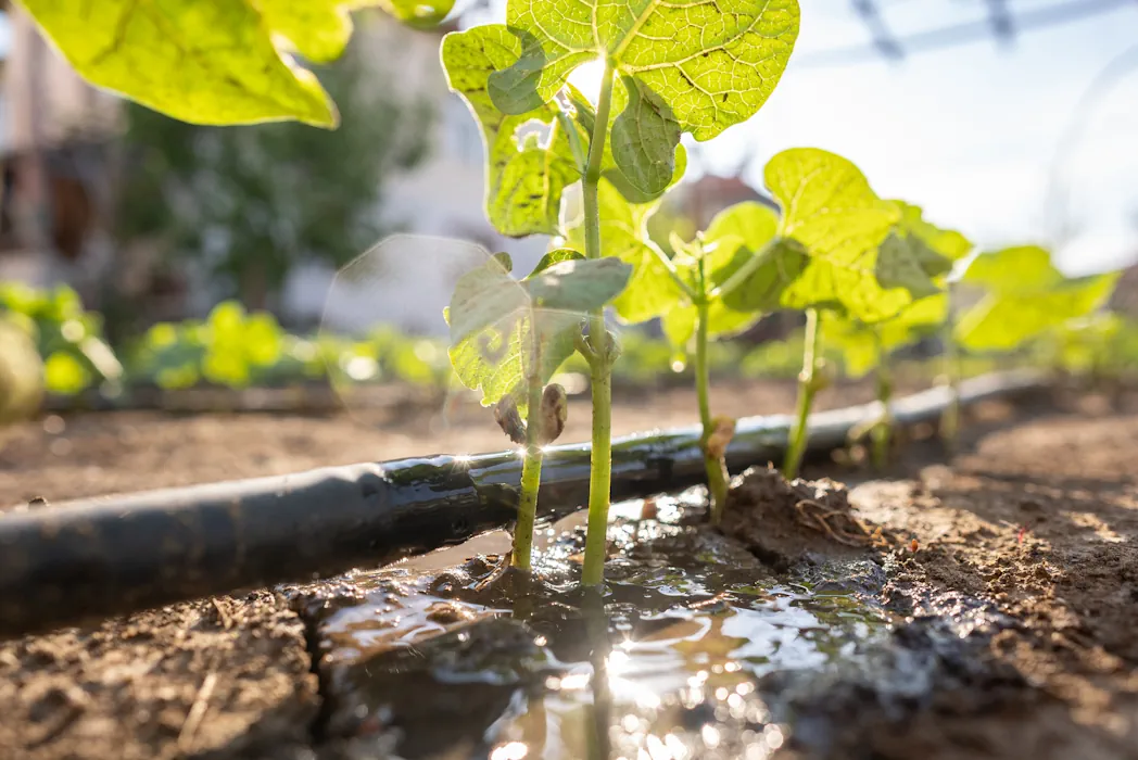 Agriculture monitoring technology